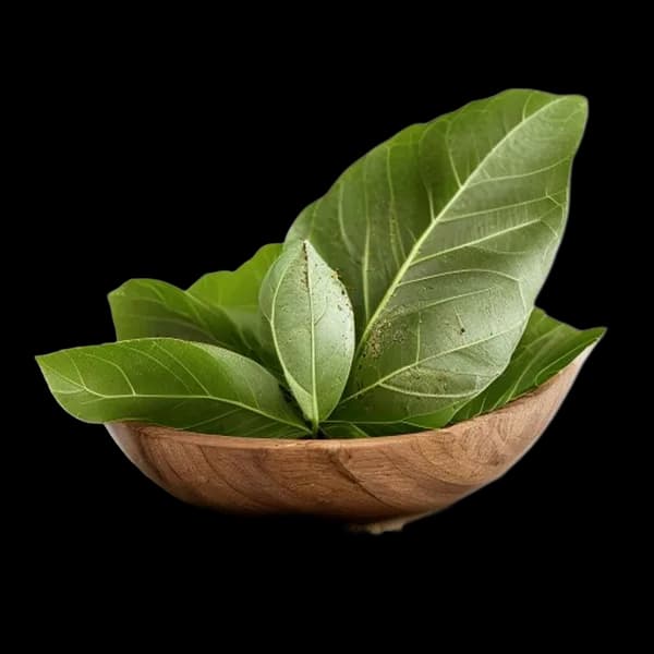 116-ultra-realistic-bay-leaf-whole-form-and-ground-powder-displayed-together-in--transparent-png