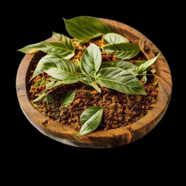 145-ultra-realistic-curry-leaves-whole-form-and-ground-powder-displayed-together-transparent-png