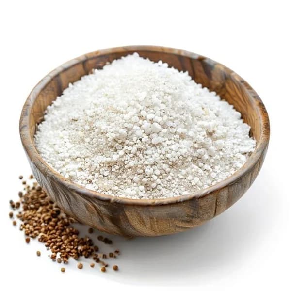 3-ultra-realistic-white-pepper-whole-form-and-ground-powder-displayed-together-i-hd-jpg