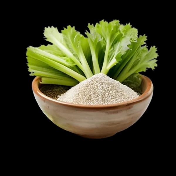 37-ultra-realistic-celery-seed-whole-form-and-ground-powder-displayed-together-i-transparent-png