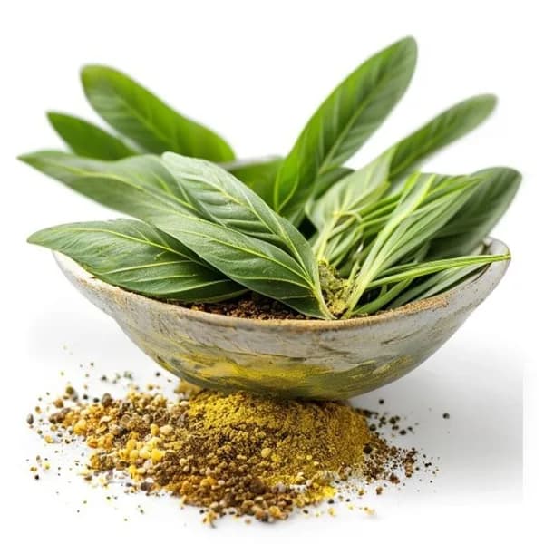 94-ultra-realistic-lemongrass-whole-form-and-ground-powder-displayed-together-in-hd-jpg