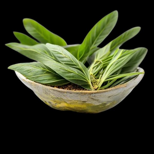 94-ultra-realistic-lemongrass-whole-form-and-ground-powder-displayed-together-in-transparent-png