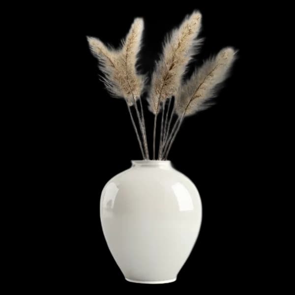 close-up-hyper-realistic-render-of-a-luxury-matte-white-ceramic-vase-holding-a-s-transparent-png