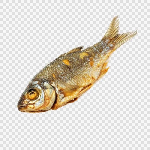 dhela-fish-small-freshwater-fish-fried-jpg-image-hd-jpg