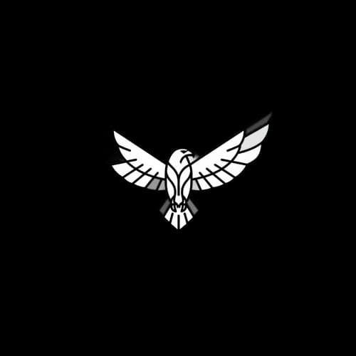 Minimalist line art eagle icon flying with wings spread JPG Image