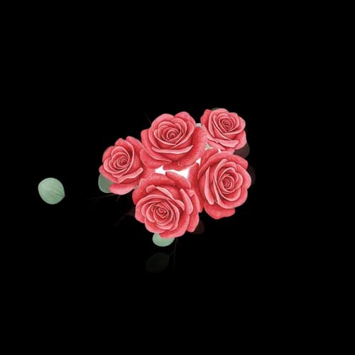 Beautiful red rose flower bouquet illustration JPG Image