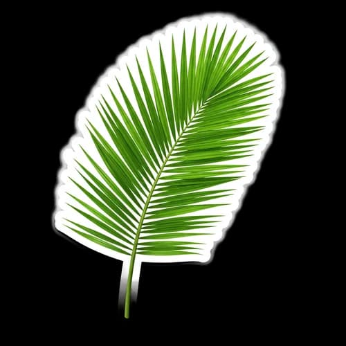 Single green palm leaf isolated on a simple design