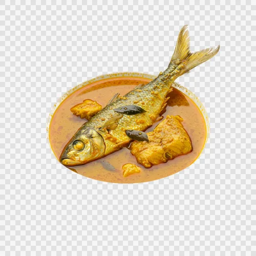 हिल्सा फिश झोल लाइट करी सूप पारदर्शी PNG