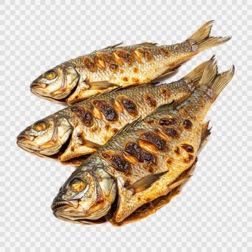 iraqi-masgouf-grilled-fish-traditional-river-fish-jpg-image-hd-jpg