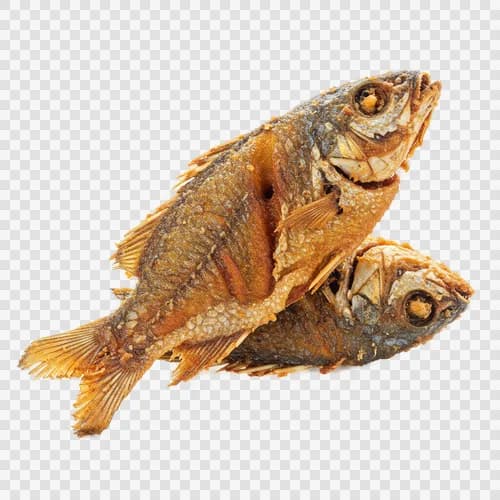 লইট্টা মাছ (বোম্বে ডাক) ভাজা মুচমুচে স্বচ্ছ PNG