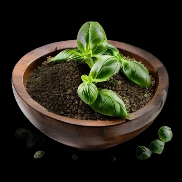 premium-studio-shot-of-basil-whole-and-powder-form-in-rustic-wooden-bowl-seeds-s-transparent-png