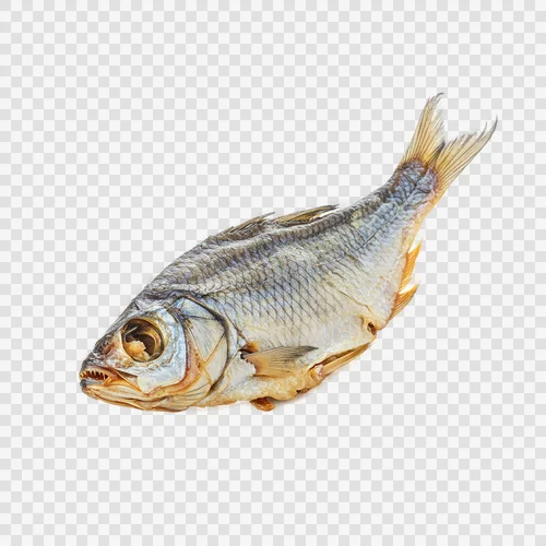 سمك شوتكي مجفف مهروس (فورتا) PNG شفاف