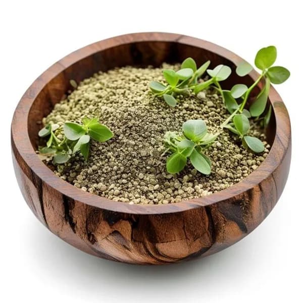 ultra-realistic-oregano-whole-and-ground-powder-in-wooden-bowl-front-view-side-v-hd-jpg